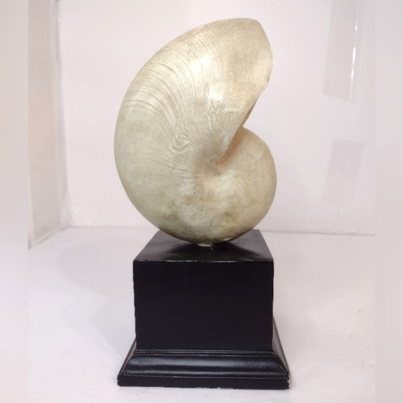 Elegant Gold Nautilus Shell Sculpture - Picture 1 of 12